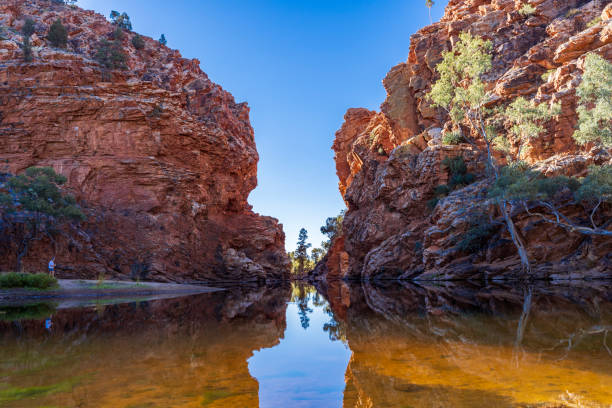 ellery creek big hole - ellery creek stock-fotos und bilder