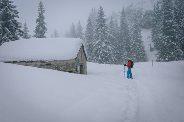 istock Backcountry snowshoer in winter forest 2086109018