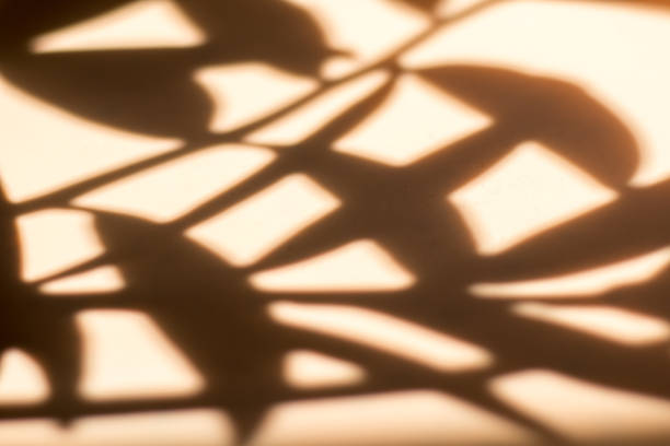istock Shadow of leaves on a beige background, Wall light with shadows, shadow on beige wall background texture. 2086116979