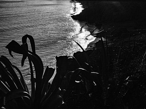 The sea in black and white with sunlight