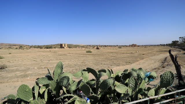 Distant View Of Roman Ruins On Desert Landscape Of Sbeitla In Tunisia. Prickly Pear Cactus Plants In Foreground. pan right shot