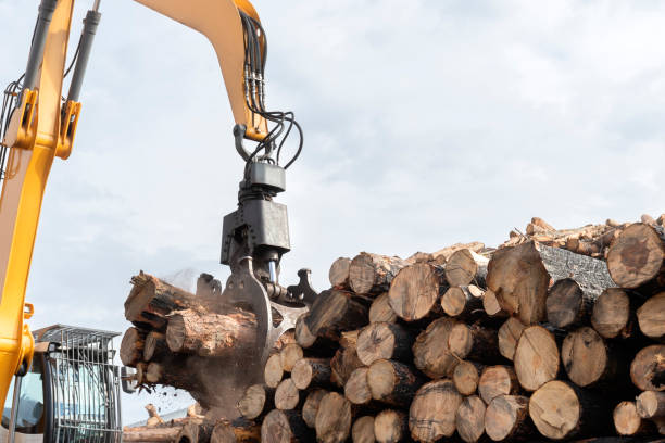istock Cranes at warehouse territory logs are unloaded from the truck 2086158788