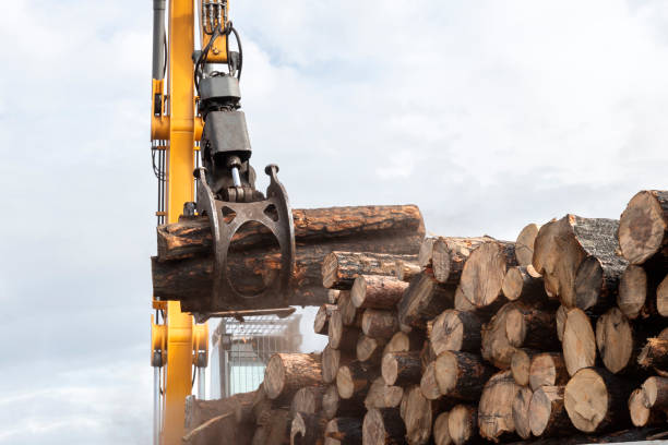istock Cranes at warehouse territory logs are unloaded from the truck 2086160903