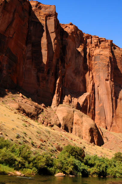 istock Colorado River Arizona 2086185962
