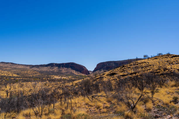 istock Simpson Gap in Alice Springs 2086187004