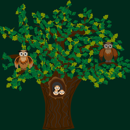 Vector graphics. On a green background, two owls are sitting on a large oak tree; small owlets are visible in the hollow.