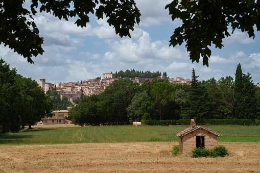 Country landscape near Spello, Perugia province, Umbria, Italy, at summer