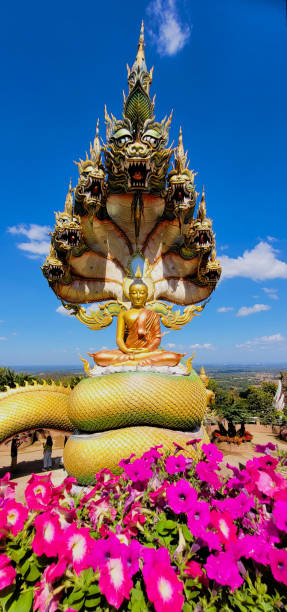 Naga protect buddha stock photo