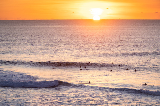 Bali, Uluwatu - Surfers riding waves are silhouetted against a golden sunset over a calm sea. The warm hues of the setting sun illuminate the sky, casting a serene glow on the ocean’s surface.