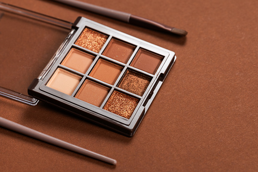Natural colored eye shadow makeup palette with brush. Woman cosmetic and beauty product, eige color eyeshade pattern,