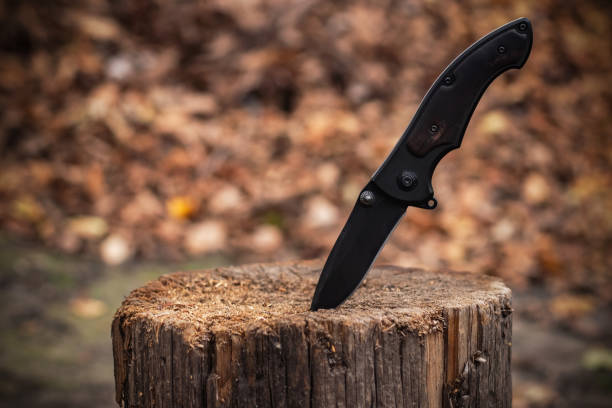 istock Tactical knife for survival and protection difficult conditions stuck into trunk tree in forest 2086254730