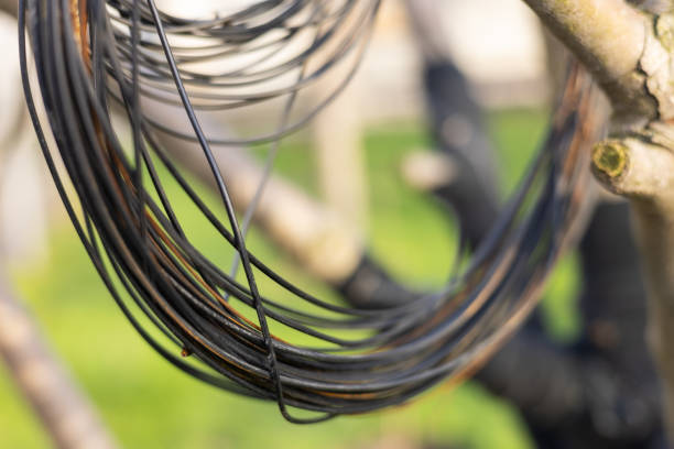 Skein of metal wire on tree close up.