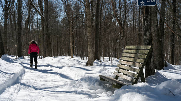Mature woman walking in forest during a day on winter