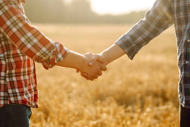 istock Handshake. Two farmer standing and shaking hands in a wheat field. 2086319238