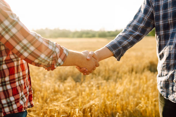 istock Handshake. Two farmer standing and shaking hands in a wheat field. 2086319245