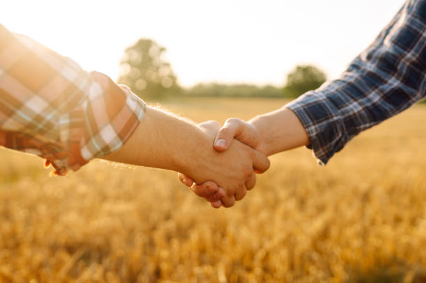 istock Handshake. Two farmer standing and shaking hands in a wheat field. 2086319772