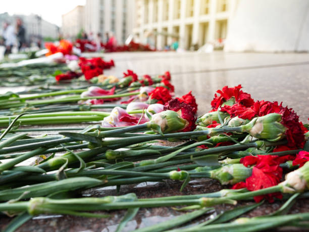 istock Carnations flowers on memorial monument on granite 2086374910