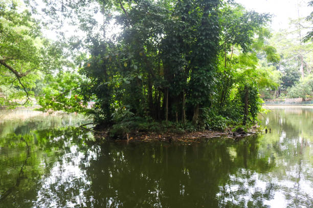istock UGM wisdom park lake with lush trees in the middle. 2086400152