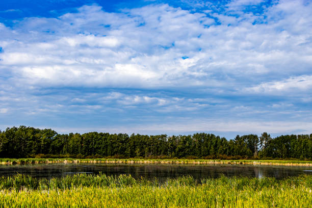 Fields streams and ponds on a drive around Mountainview County Alberta Canada