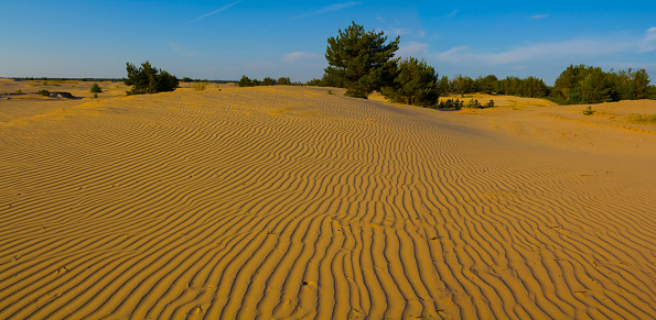 wide wavy sandy desert under blue sky