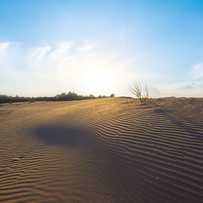 wide wavy sandy desert at the sunset