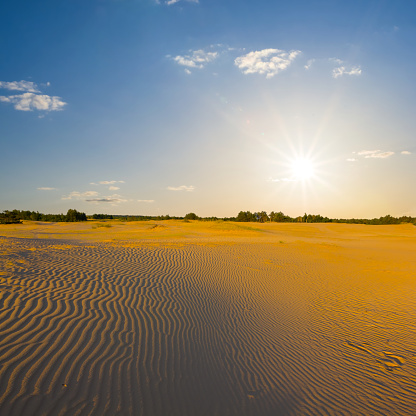 wide wavy sandy desert at the sunset