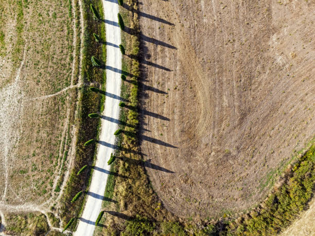 Aerial view of country road and cypress trees in Tuscany, Italy