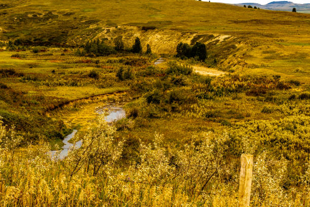lakes, ponds, stream, fields and rustic buildings on a  drive through MD of Willow Creek Alberta Canada