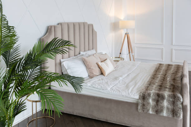 istock Modern luxury stylish apartment interior in pastel colors 2086435109