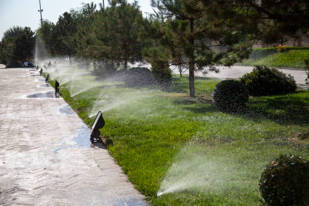 istock water spraying in the grass 2086446233