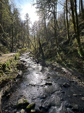 Creek at Witches Castle Portland Oregon