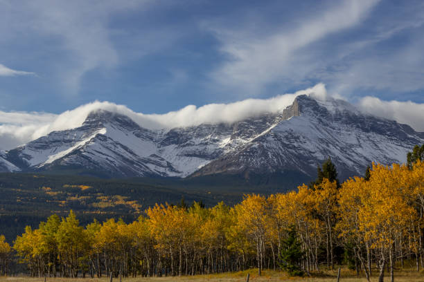 istock Crowsnest Ridge, Municipality of Crowsnest, Alberta, Canada 2086463157