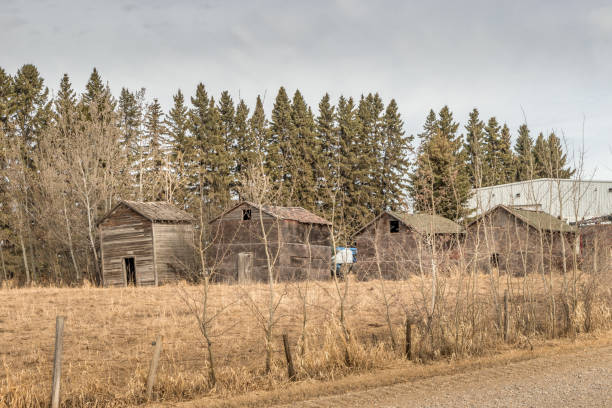 istock Rustic out buildings dot the countryside Red Deer County Alberta Canada 2086520734