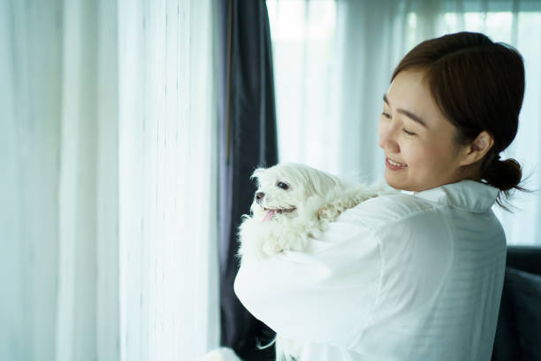 istock People and pet living together. 2086582100