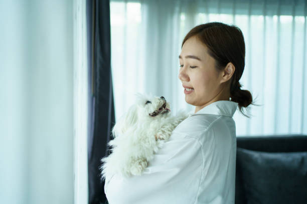 istock People and pet living together. 2086582103