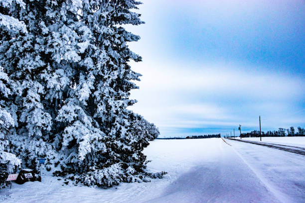 A winter drive through a winter wonderland, Mountain View County, Alberta, Canada