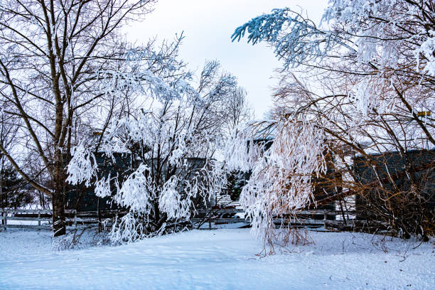istock Winter drive through a winter wonderland, Mountain View County, Alberta, Canada 2086589525