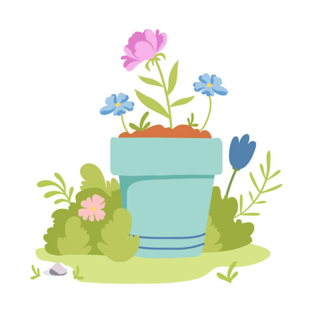 ilustrações, clipart, desenhos animados e ícones de vaso de primavera com flores. ferramentas de jardinagem e cuidados com as plantas. composição do jardim doméstico. primavera ou verão. - leaf branch tree green