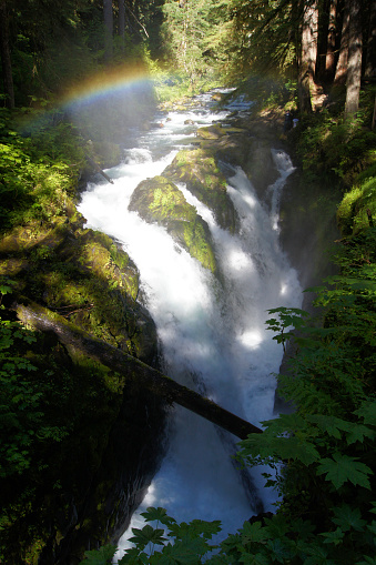 Rainbow at Sol Duc, Olympic National Park, Washington State -United States