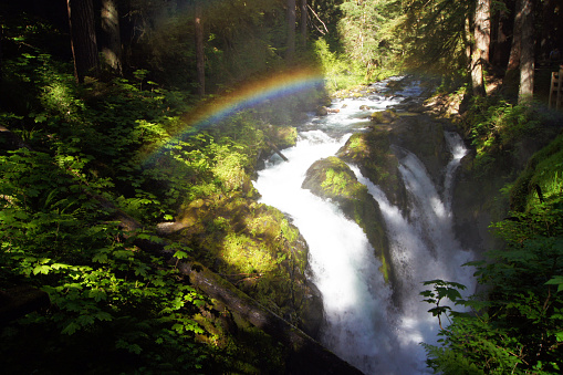 Rainbow at Sol Duc, Olympic National Park, Washington State -United States