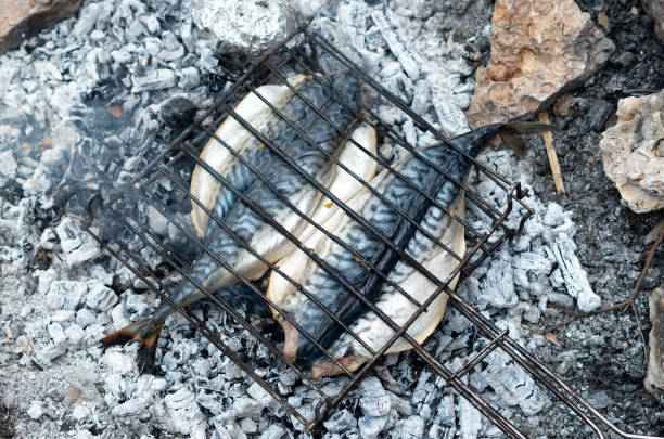 Grilling two whole fish mackerel on the grill close up