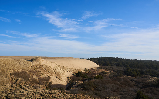 Miles of rippling sand dunes are scattered along the coast of Oregon and are a recreational haven for hikers, bike riders, and nature lovers.