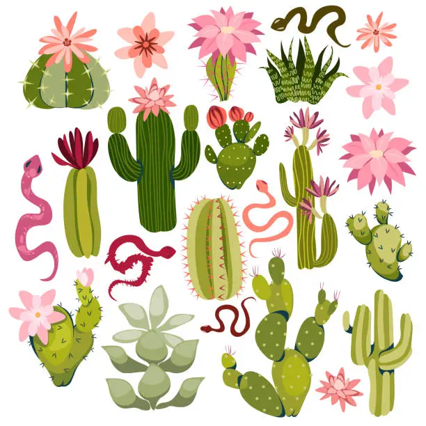 Vector illustration of Set of bright cactus, aloe and succulents vector