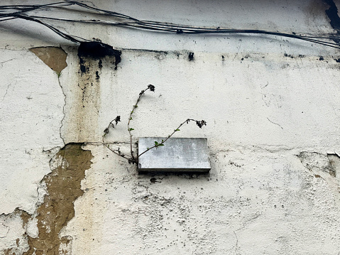 Peeling paint and wires on an old damp wall