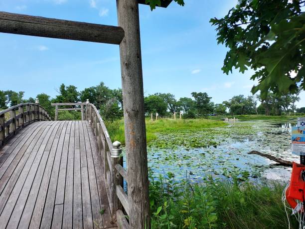 istock Marquette Park Lagoon Gary Indiana 2086681412