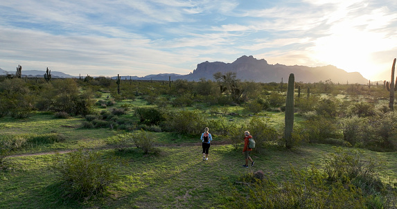 Aerial view of hikers walk into desert landscape with saguaro cactus forest at dawn