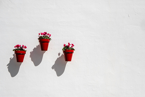 Whitewashed wall decorated with red flower pots in Mijas, one of the beautiful Andalusian towns