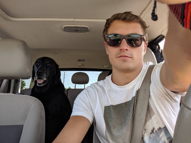 istock A man and a black Labrador in the car 2086713075