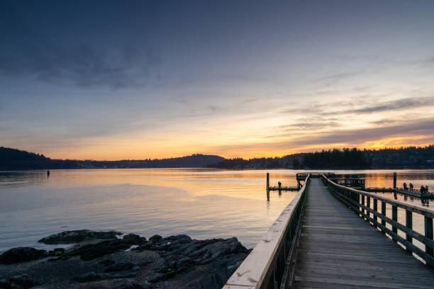 istock Spring Belcarra regional Park 2086714693