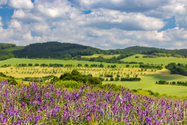 Spring landscape in White Carpathians, Southern Moravia, Czech Republic